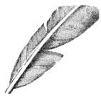 Feather